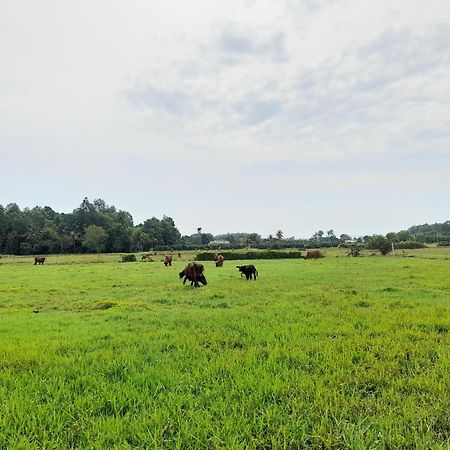 Lotus Farm Retreat Хошимин Экстерьер фото